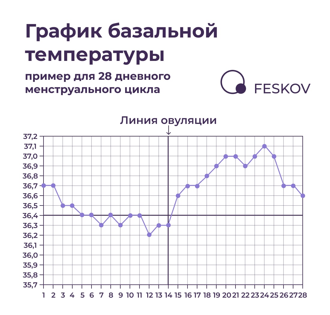 Что такое базальная температура и зачем ее измерять