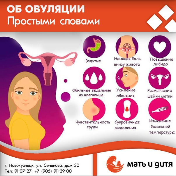 Что такое овуляция простыми словами