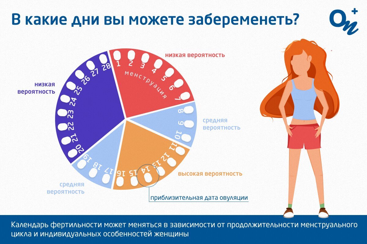 Вероятность зачатия сразу после родов